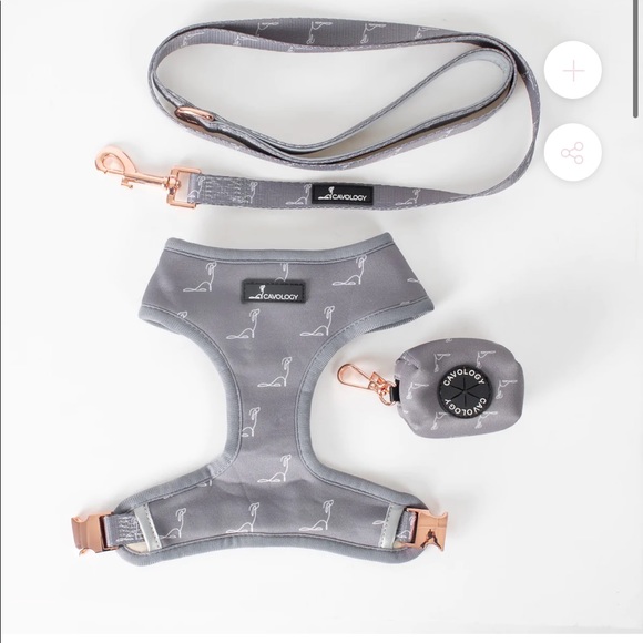 Cavology Dog bundle - Picture 3 of 6